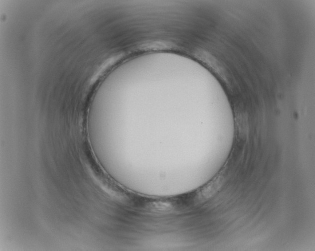 X0000073900159200609082156