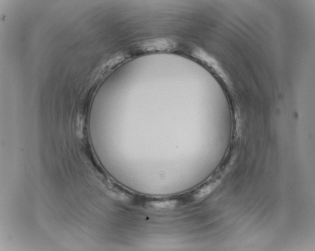 X0000073900161200609082156