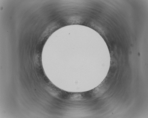 X0000073900162200609082156