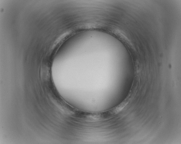 X0000073900164200609082156