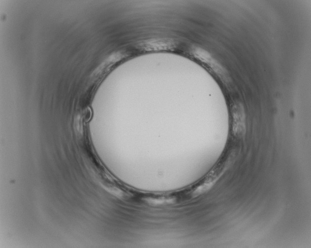 X0000073900165200609082156