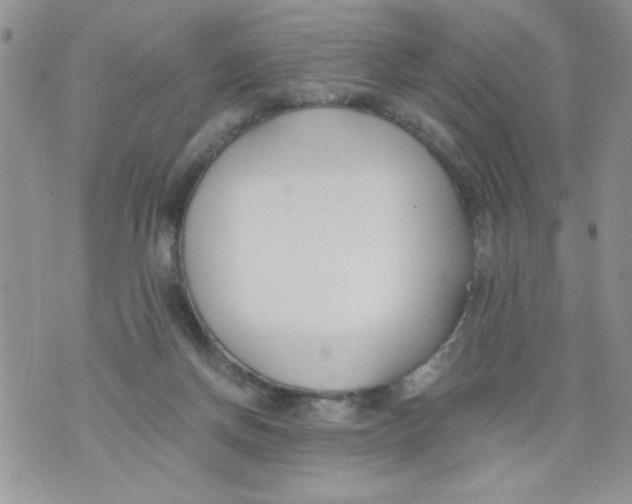 X0000073900166200609082156