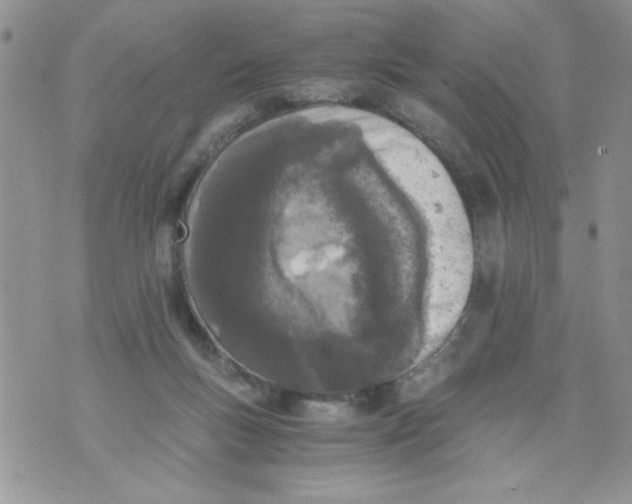 X0000073900167200609082156