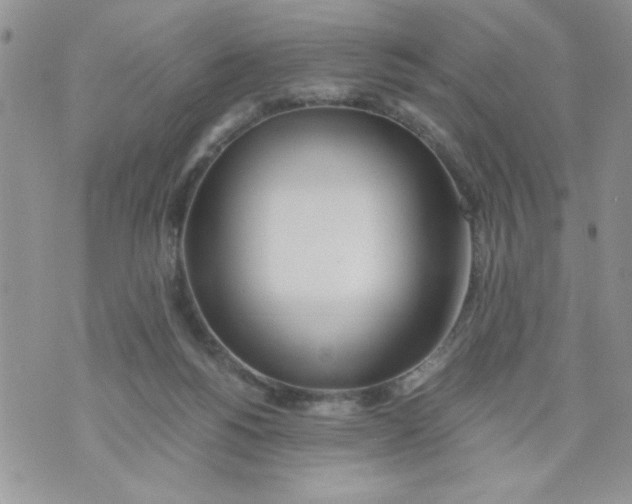 X0000073900168200609082156