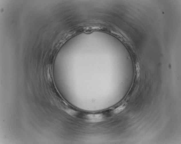 X0000073900169200609082157