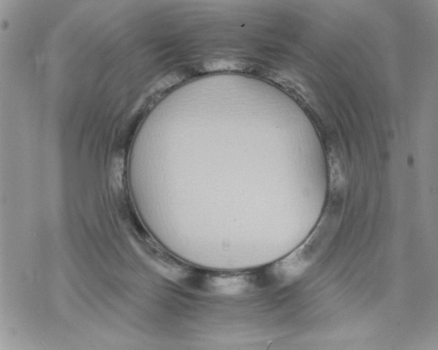 X0000073900171200609082157