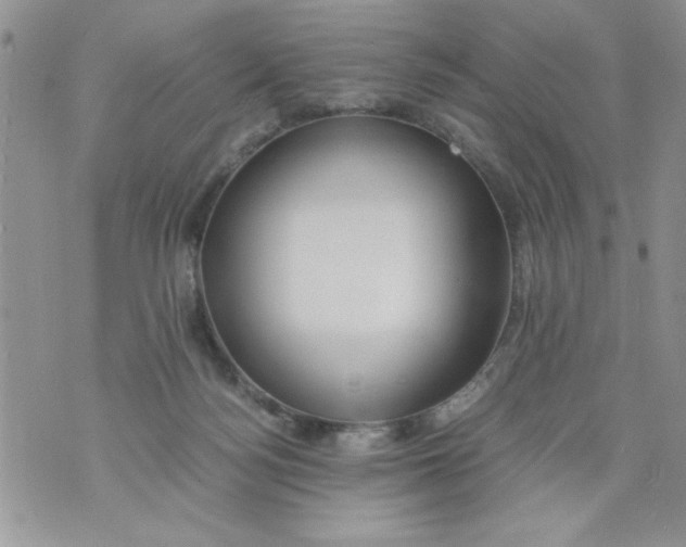 X0000073900172200609082157