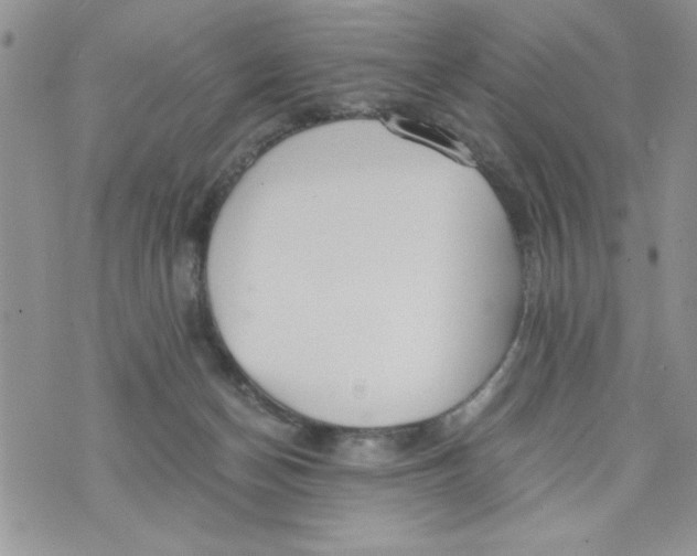 X0000073900174200609082157