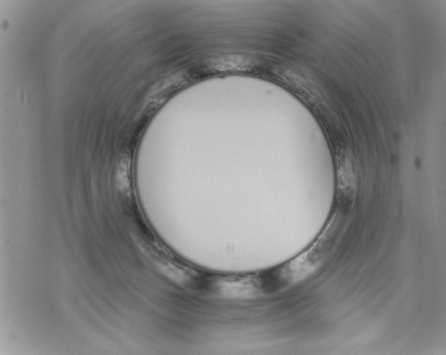 X0000073900175200609082157