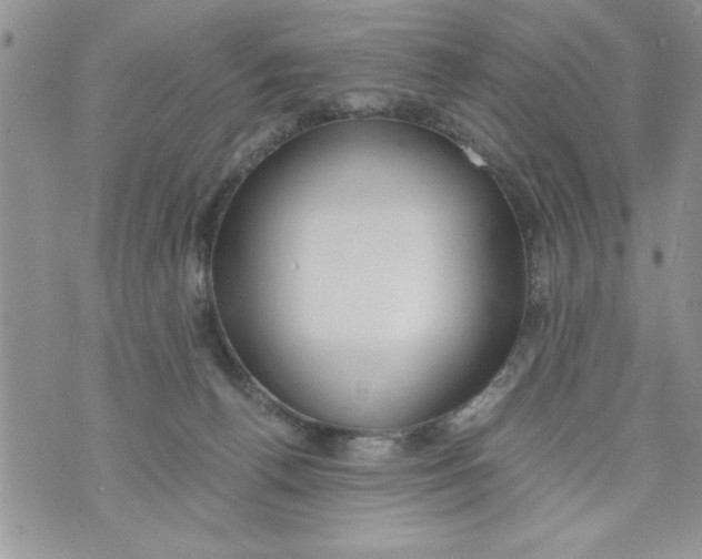 X0000073900176200609082157