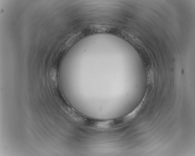 X0000073900178200609082157