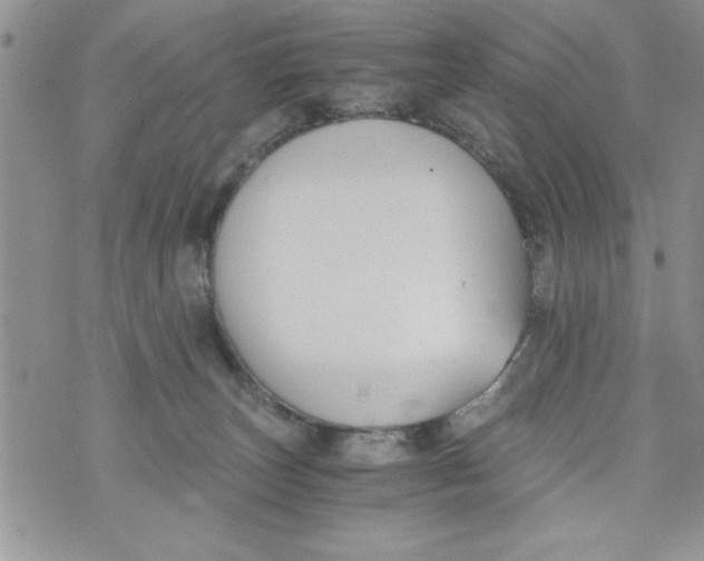 X0000073900179200609082157