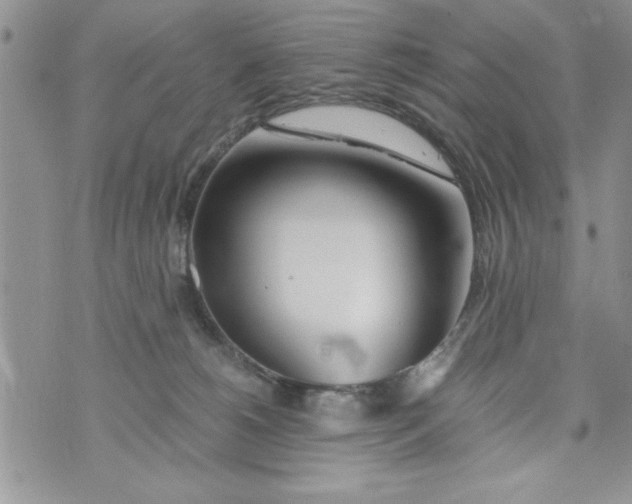 X0000073900180200609082157