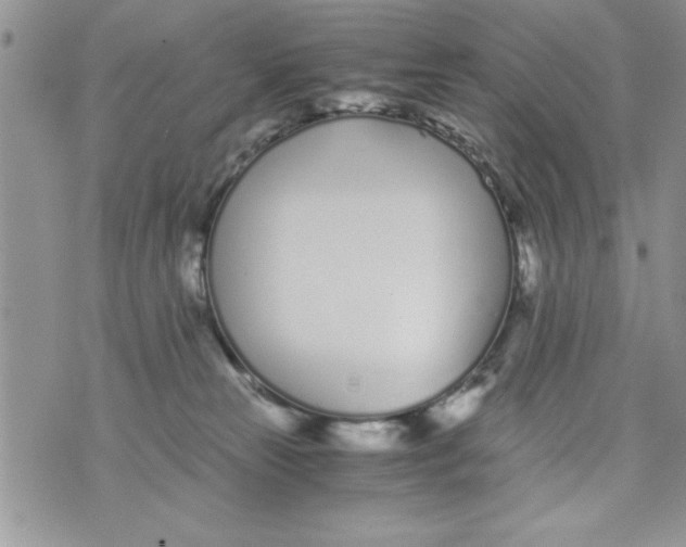 X0000073900181200609082157