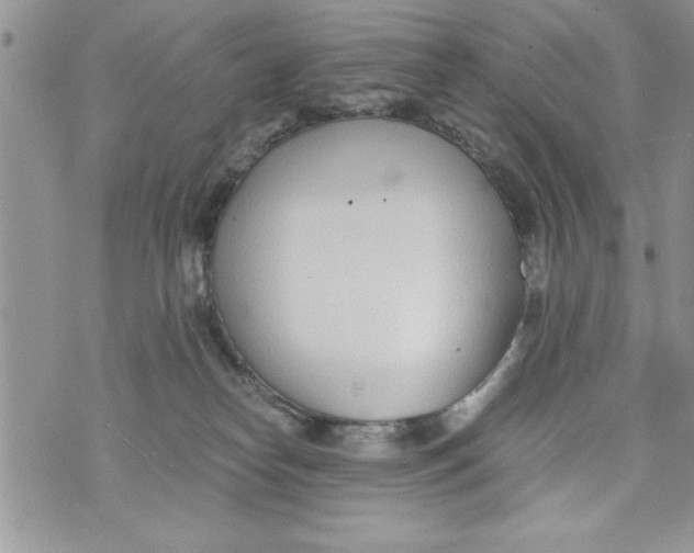 X0000073900182200609082157