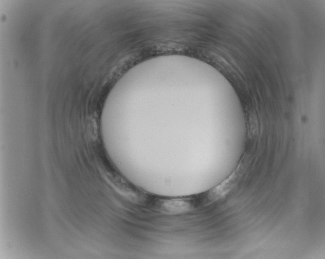 X0000073900183200609082157