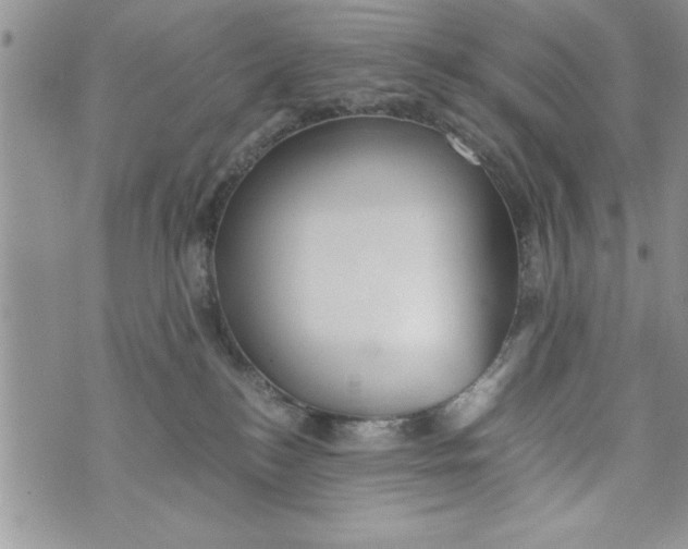 X0000073900184200609082157