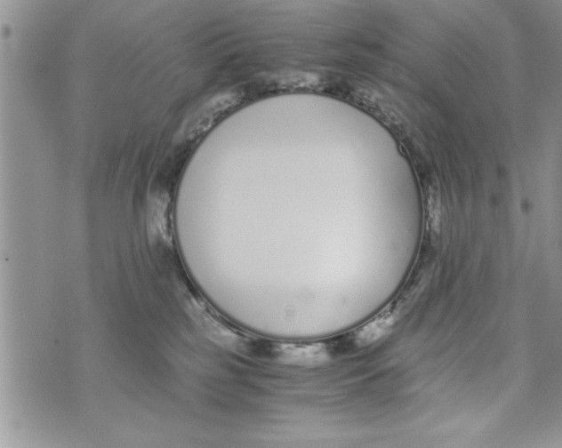 X0000073900185200609082157