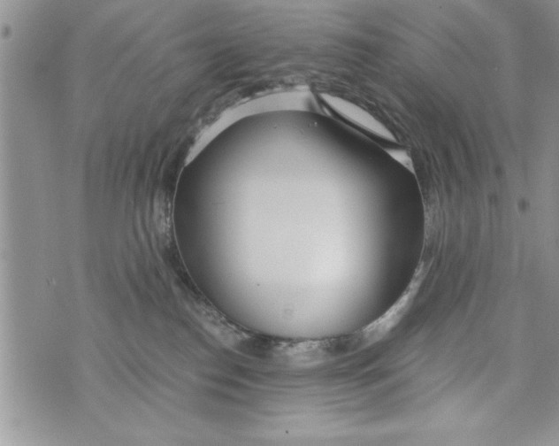 X0000073900186200609082157