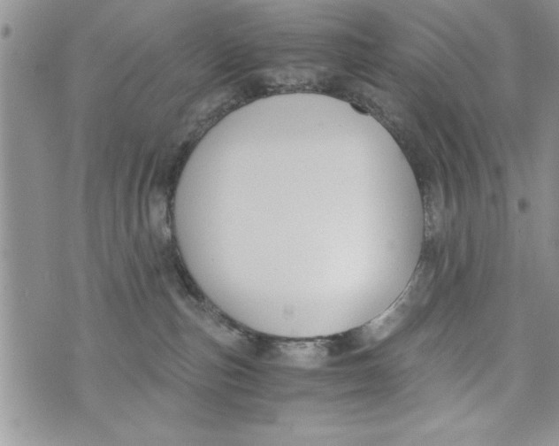 X0000073900187200609082157