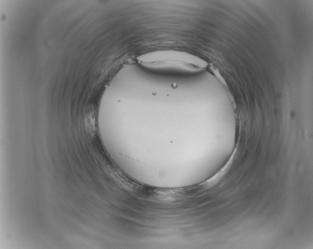 X0000073900190200609082157