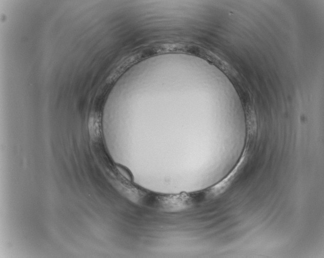 X0000073900191200609082157