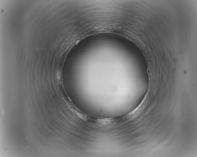 X0000073900192200609082157