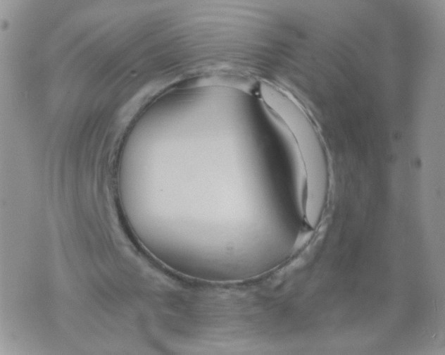 X0000073900193200609082156