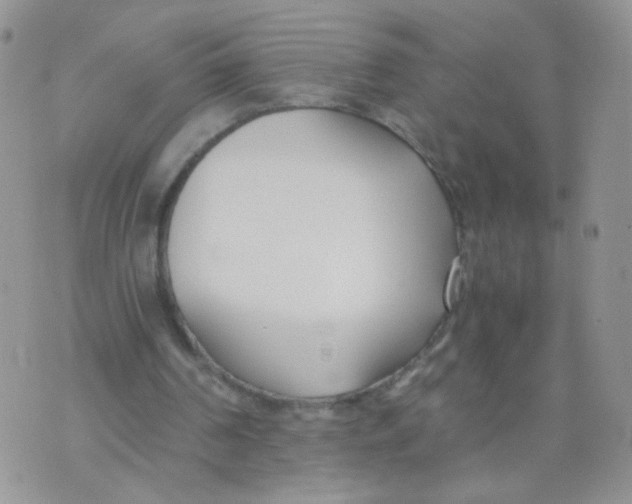 X0000073900194200609082156