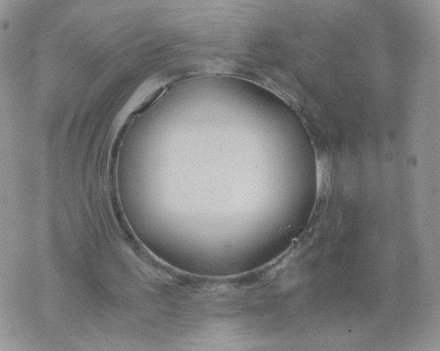 X0000073900195200609082156