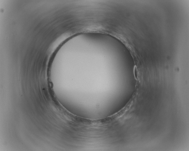 X0000073900196200609082156