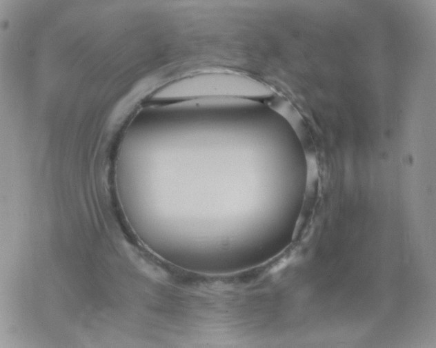 X0000073900197200609082156