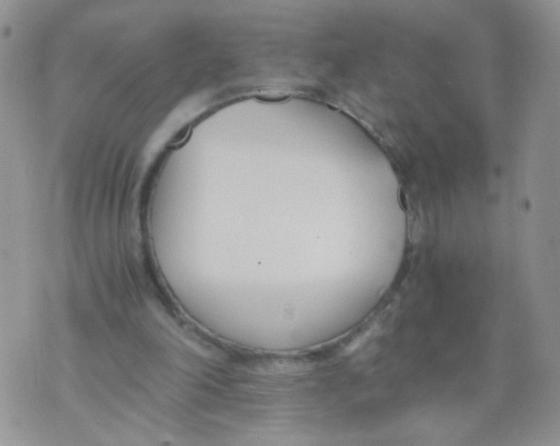 X0000073900198200609082156