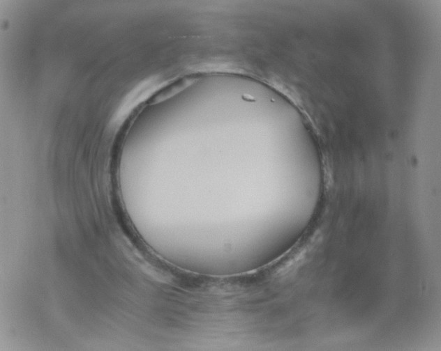 X0000073900199200609082156