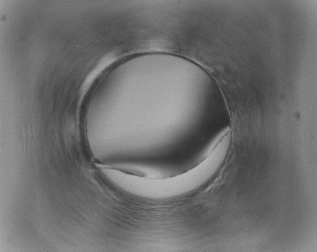 X0000073900200200609082156