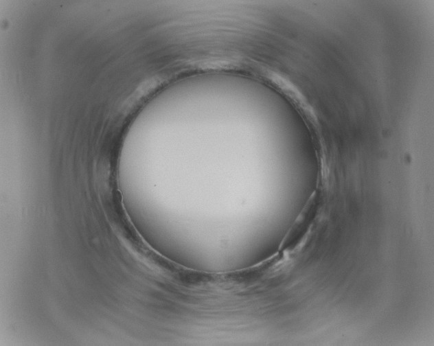 X0000073900201200609082156