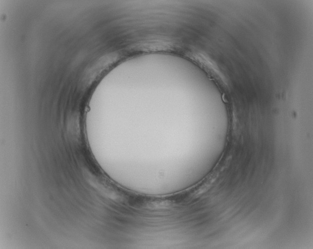 X0000073900202200609082156