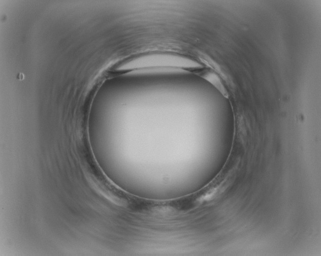 X0000073900203200609082156