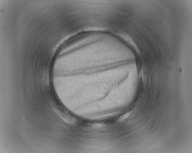 X0000073900204200609082156