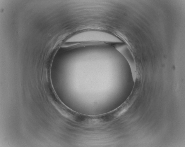 X0000073900205200609082156