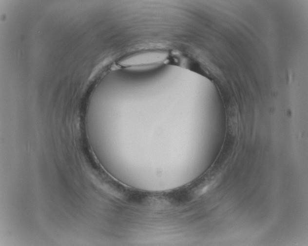 X0000073900207200609082156