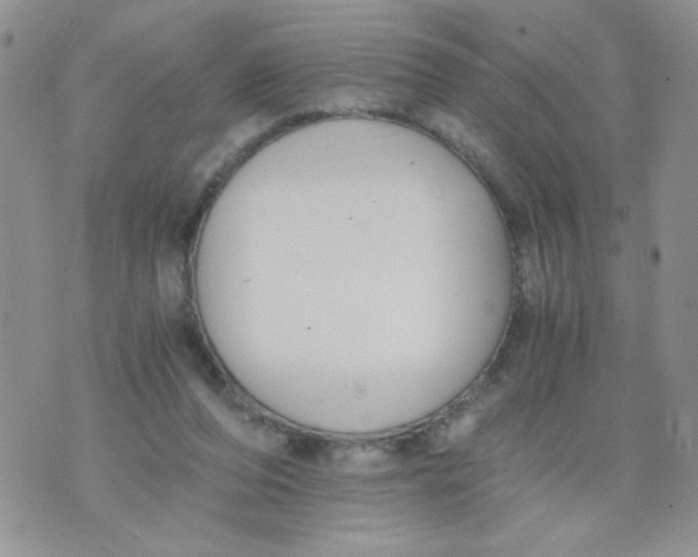 X0000073900208200609082156