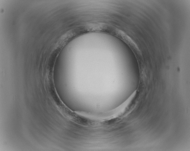 X0000073900209200609082156