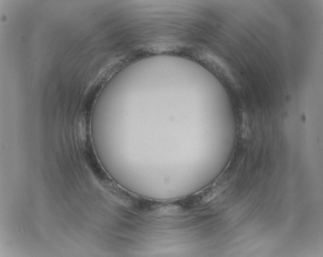 X0000073900210200609082156