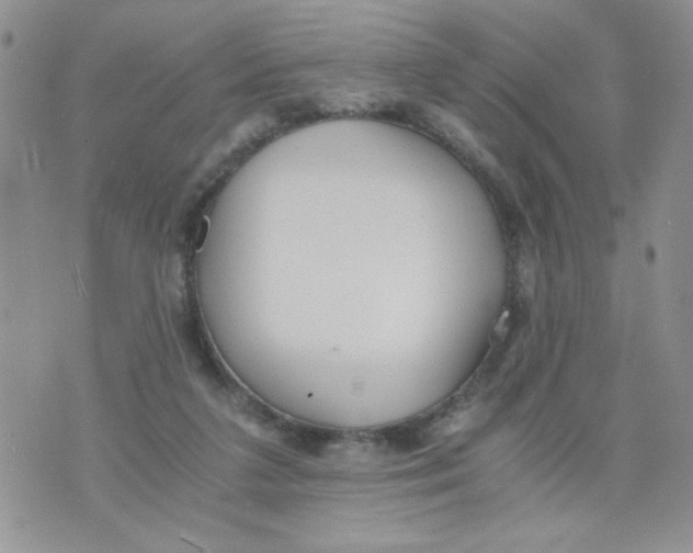 X0000073900211200609082156