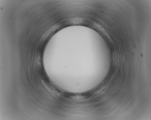 X0000073900212200609082156