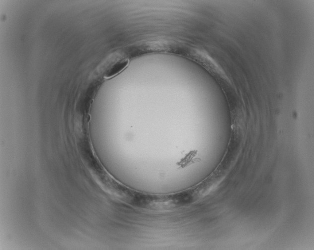 X0000073900213200609082156