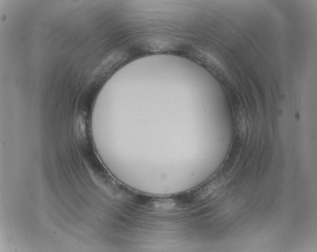 X0000073900214200609082156