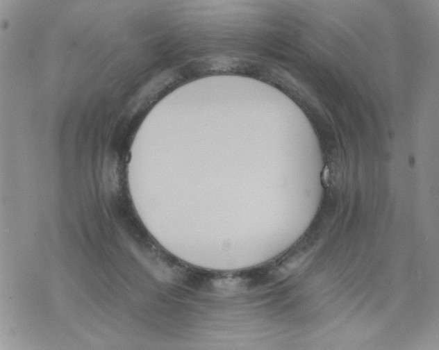 X0000073900216200609082156