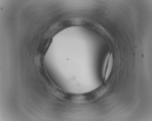 X0000073900217200609082156